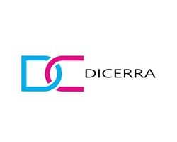 Dicerra Safety Systems
