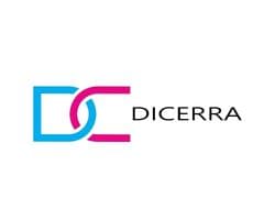 Dicerra Safety Systems