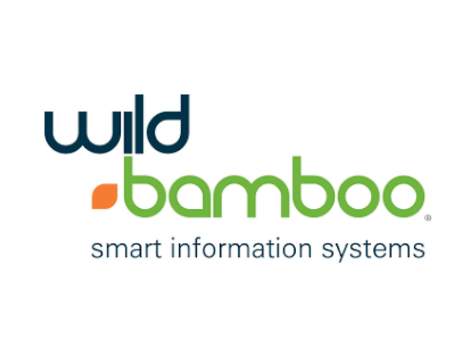 Wild Bamboo